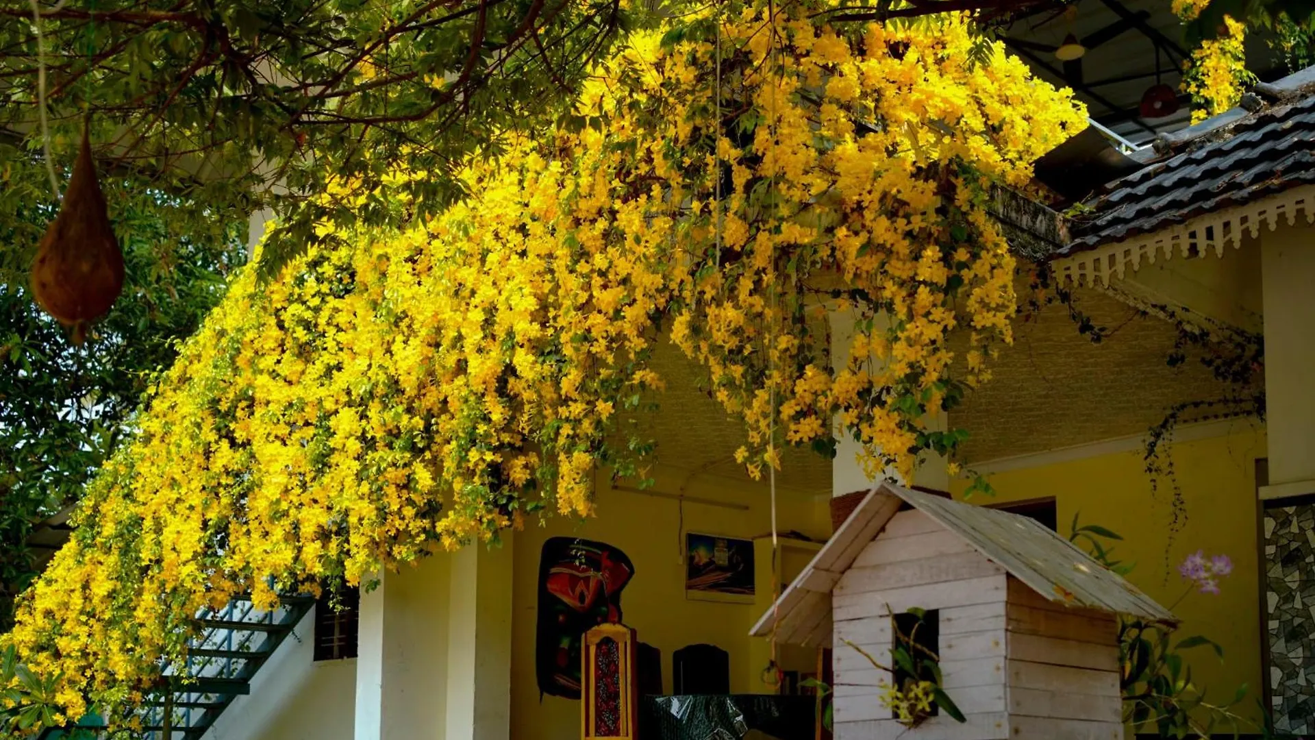 Apartament Marari Blue Waves Mararikulam